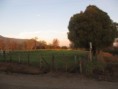 /album/fotogaleria-fototeca/img-5852-jpg/