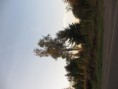 /album/fotogaleria-fototeca/img-5854-jpg/