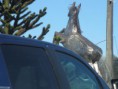 /album/fotogaleria-fototeca/img-5867-jpg/